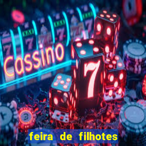 feira de filhotes porto alegre